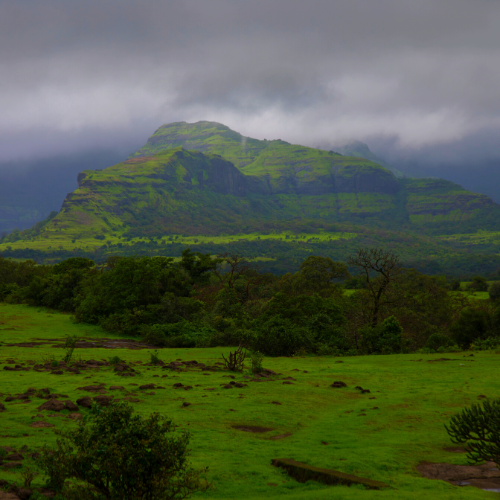 Hill Station